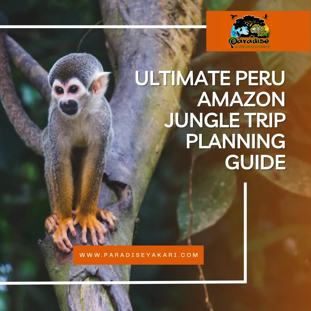 Ultimate Peru Amazon Jungle Trip Planning Guide Updated 2024